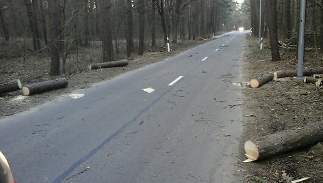 Vilniuje šalinami vėjo padariniai, gyventojų prašoma pranešti apie nuvirtusius medžius