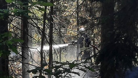 Kretingos rajone pirmadienio popietę degė mi&scaron;kas