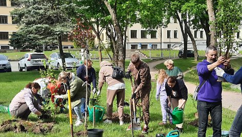 Kretingoje savaitgalį pasodinta 770 naujų medžių ir krūmų