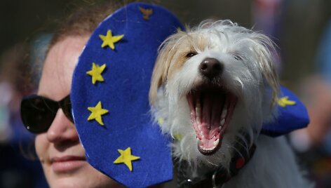 Demonstracija už ES