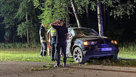 Vilniuje prie Vingio parko BMW atsitrenkė į medį