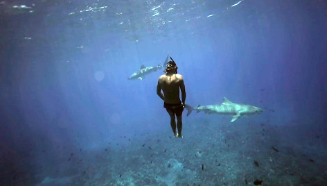 Denisas Grosmaire'as, laisvojo nardymo meistras, mėgsta plaukioti su rykliais. 
