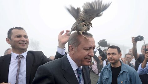 Tayyipas Erdoganas
