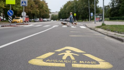 Po 20 &bdquo;Apsaugok mane&ldquo; metų &ndash; du kartus mažiau sužeistų vaikų, keturis kartus mažiau žuvusiųjų