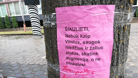 Šiauliuose vyksta karšta kova dėl senųjų bulvaro liepų