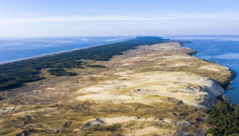 Pilkosios kopos Naglių rezervatas