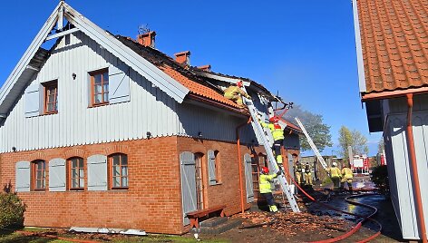 Gaisras Minijos kaime