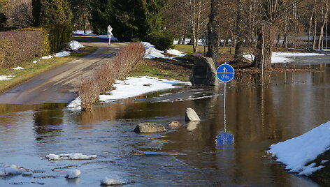 Patvinusios upės Panevėžio mieste ir rajone