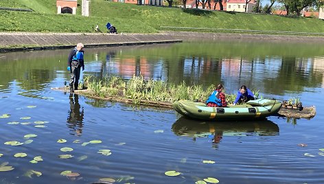 Klaipėdos universiteto mokslininkai apsodina dirbtinę salelę prie Jono kalnelio Klaipėdos senamiestyje