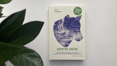Peteris Wohllebenas &bdquo;Gamtos saitai&ldquo;
