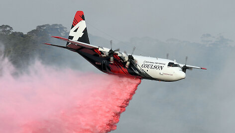 &bdquo;C-130 Hercules&ldquo; orlaivis