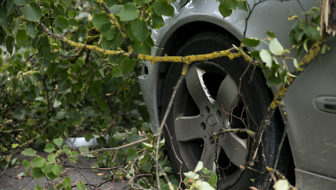 Geležinio vilko gatvėje ant automobilio užvirto medis