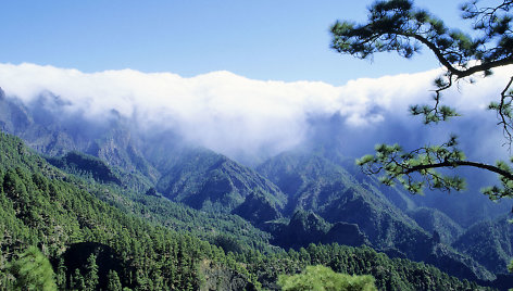 Kvapą gniaužiantis „Caldera de Taburiente” nacionalinis parkas La Palmos saloje