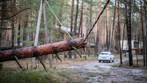 Stipraus vėjo padariniai Vilniaus mieste ir apylinkėse