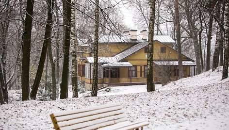 A.Puškino parkas žiemą