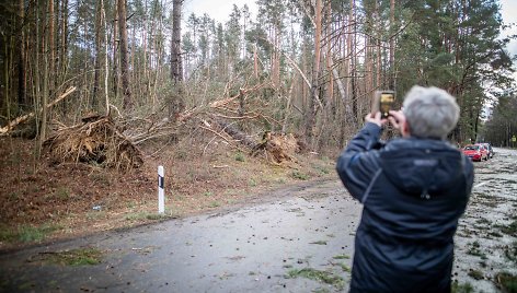 Stipraus vėjo padariniai Vilniaus mieste ir apylinkėse