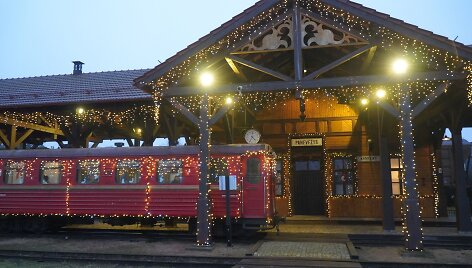 Kalėdinis Siaurukas