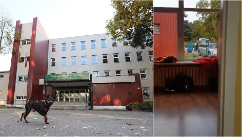 Kauno Jono ir Petro Vilei&scaron;ių mokykla