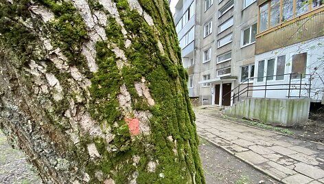Sostinės &bdquo;Žirmūnų trikampyje&ldquo; kertami medžiai