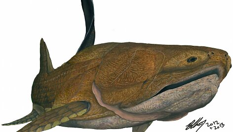 Žuvis Entelognathus primordialis