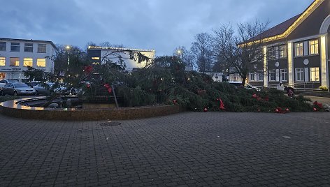 Stipraus vėjo neatlaikė ir pagrindinė Gargždų eglė