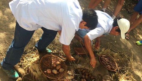 Peru gyventojai kepa bulves ir mėsą