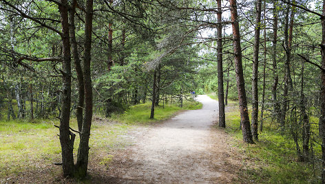 Naglių rezervatas smalsuoliams kainuoja 2 eurus.