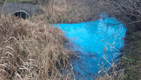 Vandens telkinys Kretingos rajone nusidažė mėlynai. Iš tolo buvo galima užuosti specifinį ploviklio kvapą.