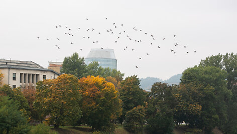 Vilnius. 