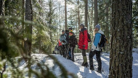 Kelionė į Suomijos Repovesi nacionalinį parką ir trijų dienų pėsčiųjų žygis