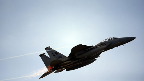 Naikintuvas &bdquo;JAS-39 Gripen&ldquo; 