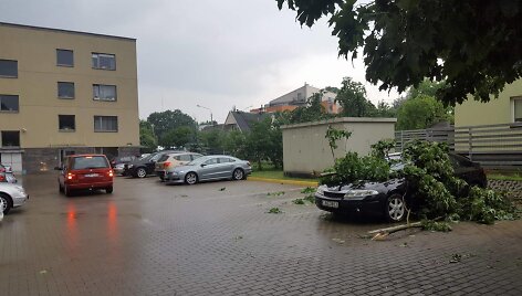Audros ir liūties nusiaubti medžiai Vilniuje