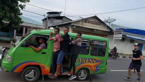 Mikroletas