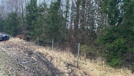 Avarijos autostradoje metu viena ma&scaron;ina vertėsi, kita užstrigo tarp medžių