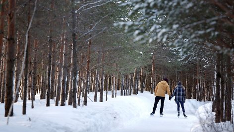 Kanadiečiai Kvebeko miške išliejo 13 km kelią pačiūžoms