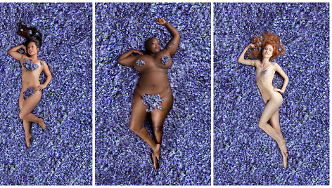 Fotografės Carey Fruth projektas &bdquo;American Beauty&ldquo;
