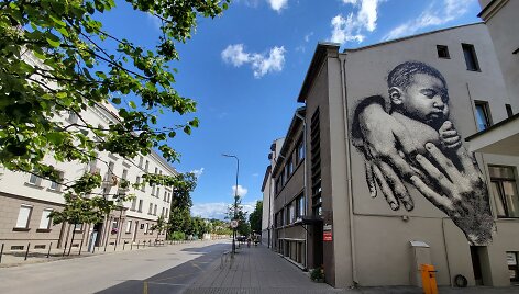 Ant gimdymo namų Kaune nugulė pie&scaron;inys