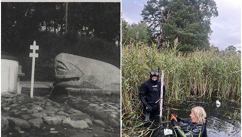 Mistinis gyvūnas - banginiukas / KU mokslininkai rado vietą, kur Nemune yra skulptūra