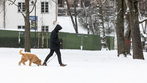 Reformatų parkas