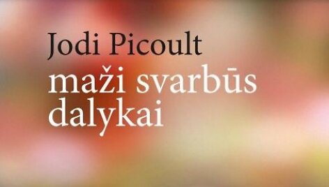 Knyga &bdquo;Maži svarbūs dalykai&ldquo;