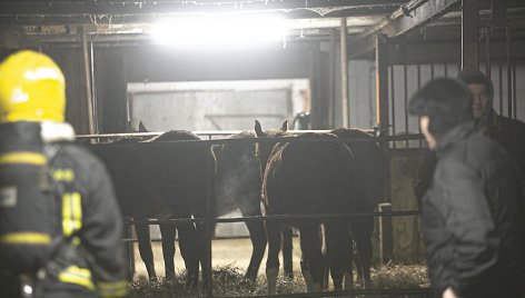 Avižienių seniūnijoje užsiliepsnojo žirgynas