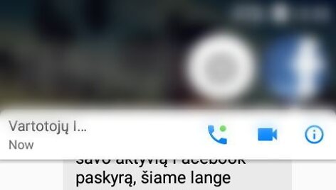 Melaginga &bdquo;Facebook&ldquo; plintanti žinutė