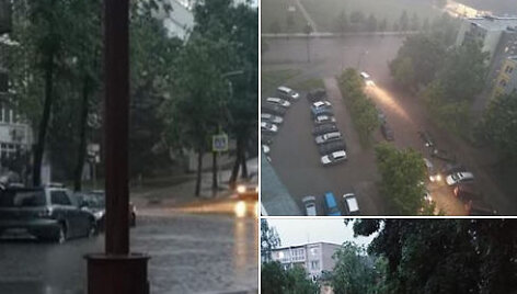 Liūtis &Scaron;iauliuose