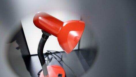 J.Vaitkutės ir A.Mamontovo kurtos instaliacijos &bdquo;Skambina&ldquo; atidarymas