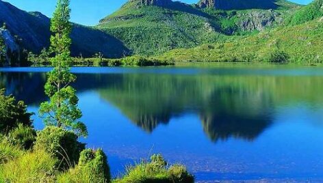 Tasmanija