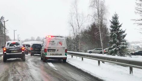 Eismas Alytuje