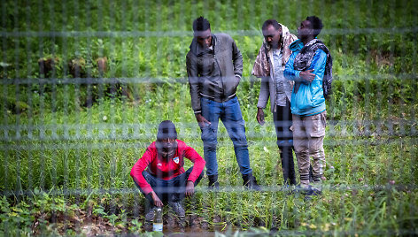 Nelegalių migrantų grupė įstrigusi tarp Baltarusijos ir Lietuvos valstybinių sienų