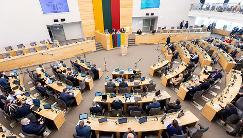 Balsuodamas dėl diplomatų tarnybos Seimas įsivėlė į diskusijas apie partnerystę