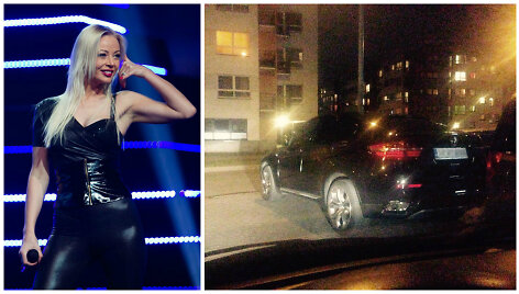 Vilija Pilibaitytė-Mia ir jos automobilis