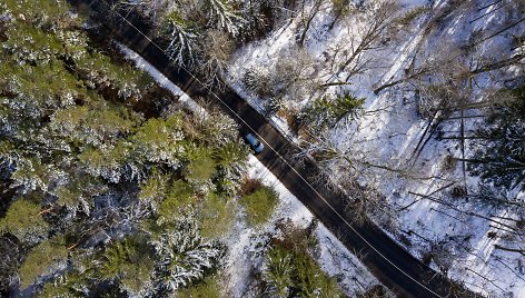 Paskutiniai sniego pėdsakai eglių viršūnėse